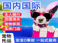 义乌航空货运国际宠物托运 【国